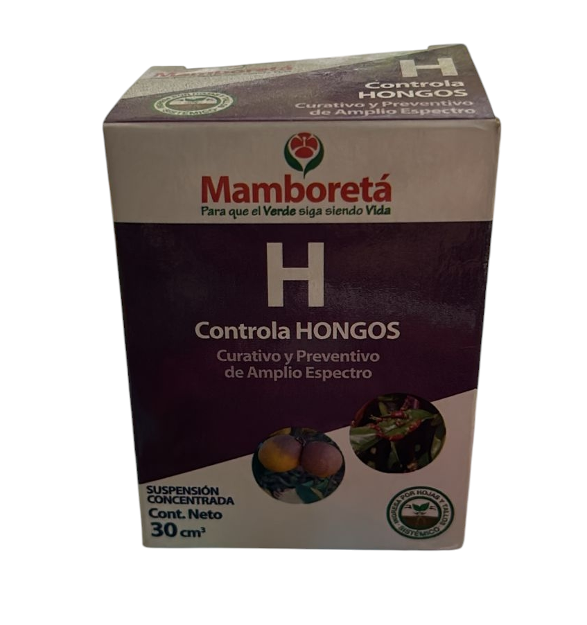 MAMBORETA H 30cm³
