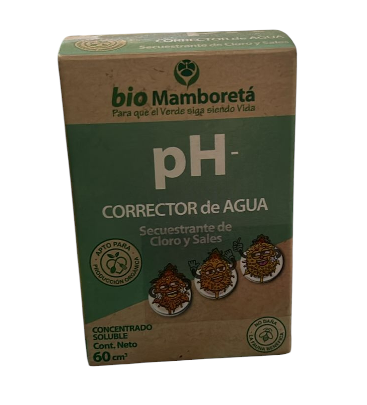 MAMBORETA PH