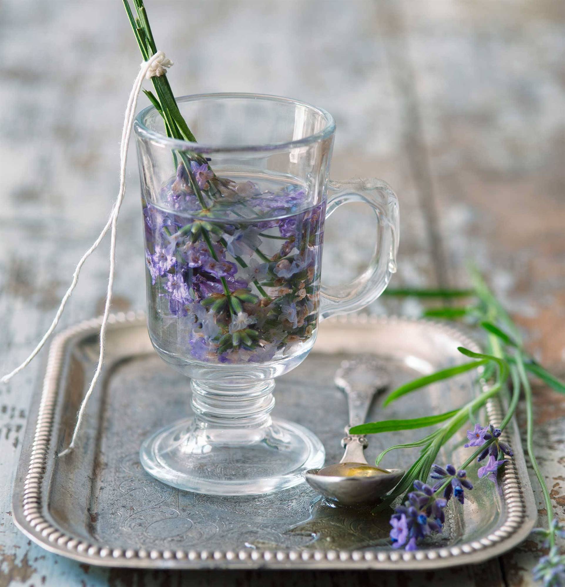 Lavanda seca