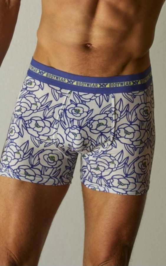 Boxer y Slip