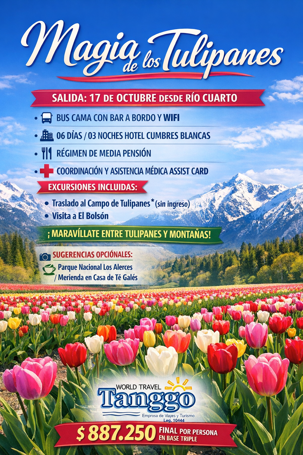 MAGIA DE LOS TULIPANES