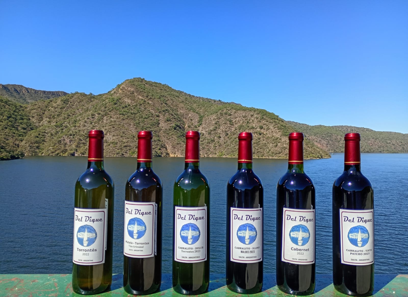 Variedades de vinos Del Dique frente al lago