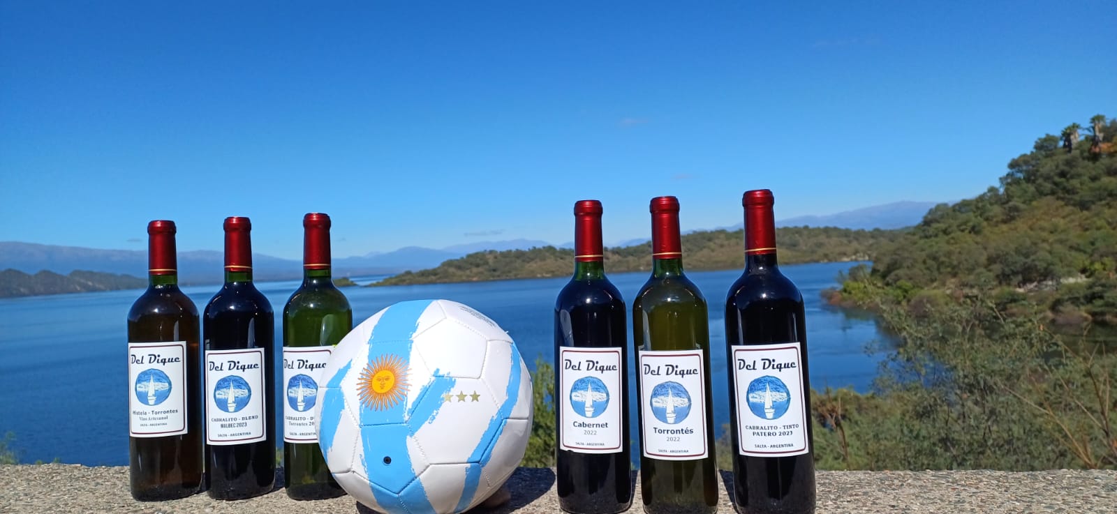 Venta de vinos artesanales