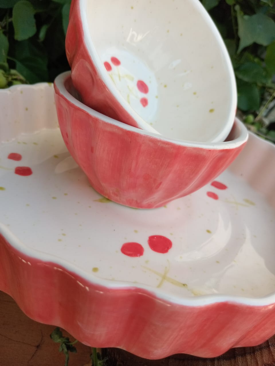 Juego cazuelas y tartera