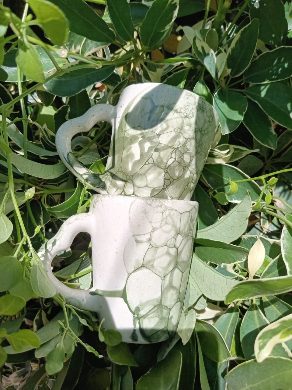 Tazas burbujas